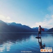 灯笼花