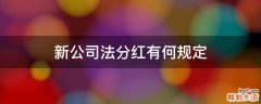 新公司法分红有何规定