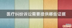医疗纠纷诉讼需要提供哪些证据