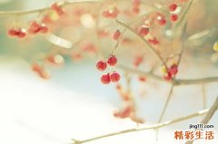 吃感冒药后能喝茶吗