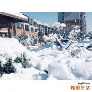 阴道外长浓包怎么回事