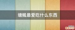 塘鲺最爱吃什么东西