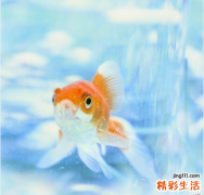 2 泽泻的食疗及论述