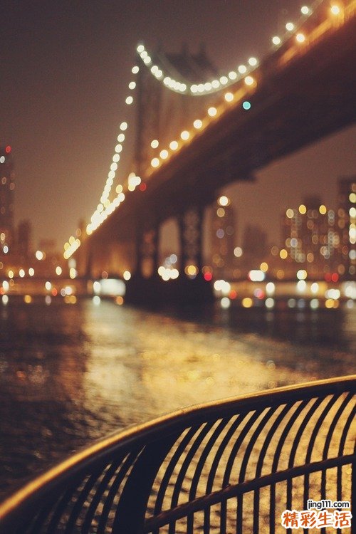 细辛的应用及药理作用