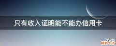 只有收入证明能不能办信用卡