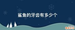 鲨鱼的牙齿有多少个