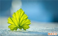 秋季幼儿常见病的预防