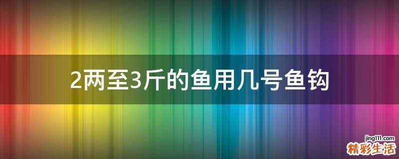 2两至3斤的鱼用几号鱼钩