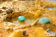 准妈妈呵护宝宝眼睛四问题
