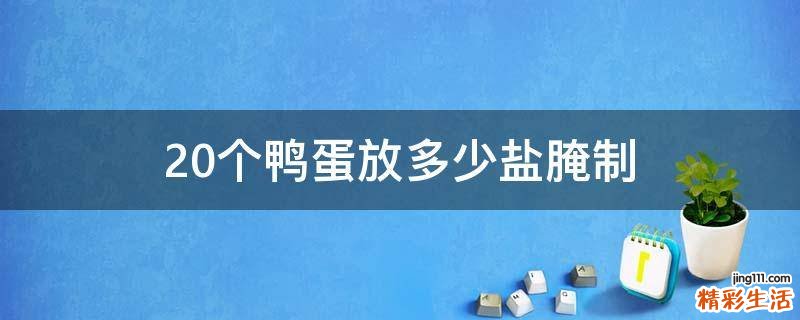 20个鸭蛋放多少盐腌制