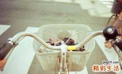 3 醋柳果
