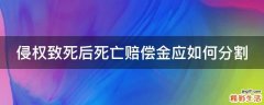侵权致死后死亡赔偿金应如何分割