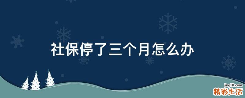 社保停了三个月怎么办