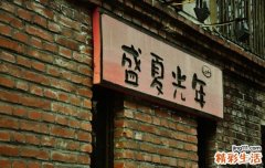 4 地盘松球
