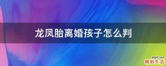 龙凤胎离婚孩子怎么判