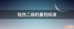 轻伤二级的量刑标准