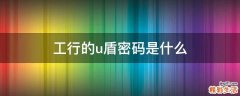 工行的u盾密码是什么