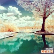 多发性淋巴结节是怎么回事