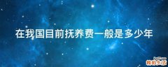 在我国目前抚养费一般是多少年