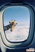 女性怕冷吃什么汤好