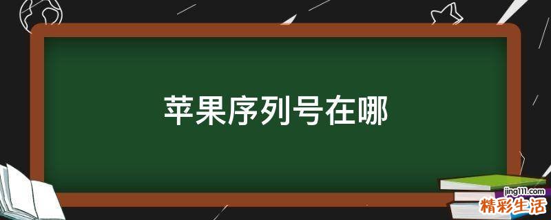 苹果序列号在哪
