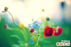 宁夏腊八节的注意事项