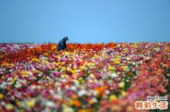 武汉元宵节的习俗