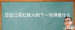 日出江花红胜火的下一句诗是什么