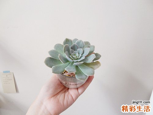 2 鬼点灯