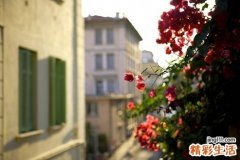怕冷按摩什么穴位