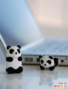 肿节风的成分药理和现代应用