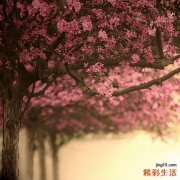 经期行房后果严重 或会断绝你的“后路”