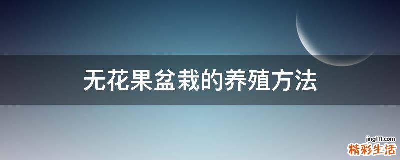 无花果盆栽的养殖方法