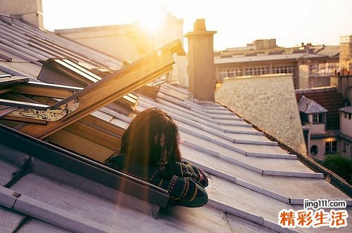 2 狗脊的考证及现代研究