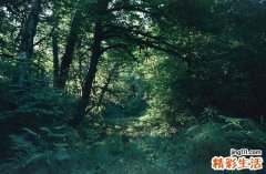 荨麻疹缓解方法有哪些