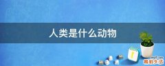 人类是什么动物