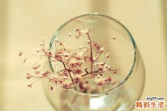 女童染恶疾致“体无完肤” 南方医10天破9年不解迷