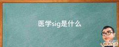 医学sig是什么