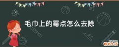 毛巾上的霉点怎么去除
