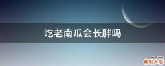 吃老南瓜会长胖吗