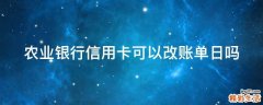 农业银行信用卡可以改账单日吗