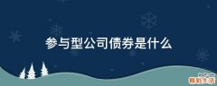 参与型公司债券是什么