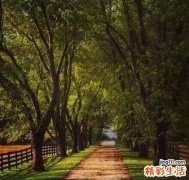 做汗蒸影响怀孕吗