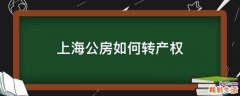 上海公房如何转产权