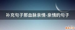 补充句子那血脉亲情-亲情的句子