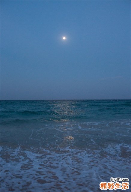 膀胱外翻病理图片