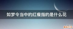 如梦令当中的红瘦指的是什么花