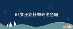 65岁还能补缴养老金吗