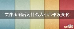 文件压缩后为什么大小几乎没变化