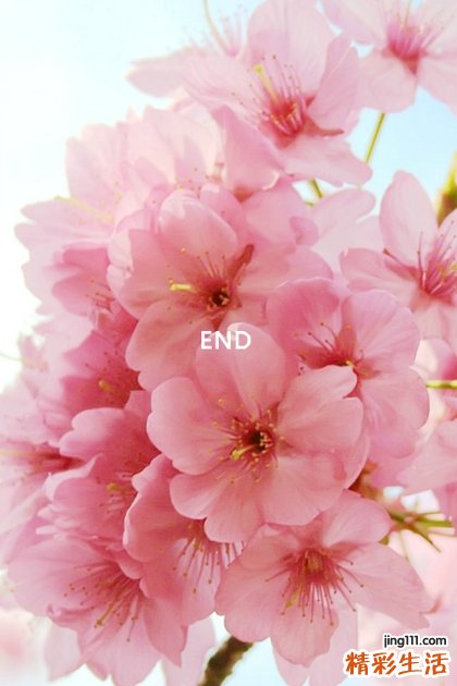 除烦清热逍遥鸡煲怎么做